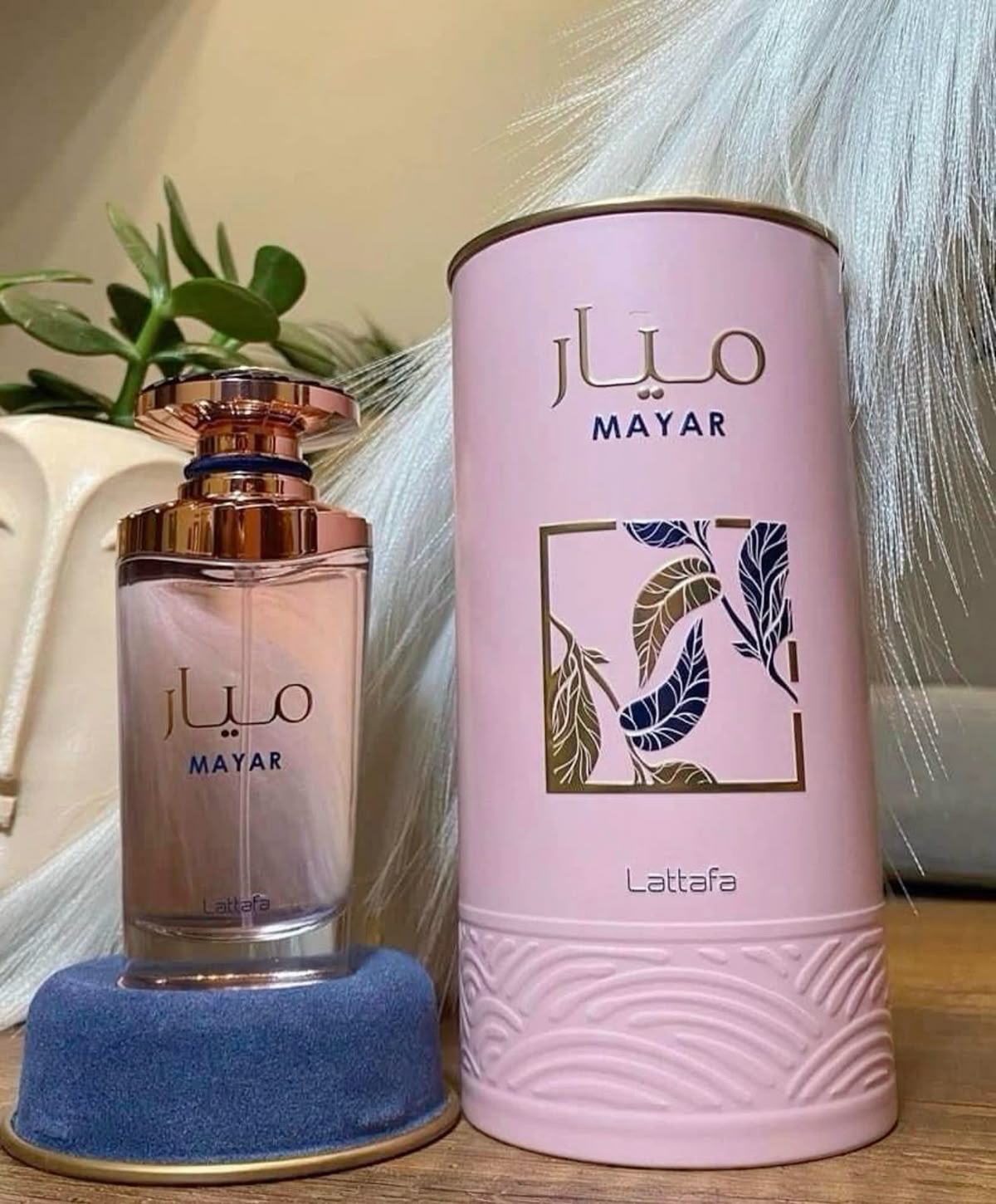 MAYAR PINK 